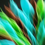 Visual representation of rhythmic patterns